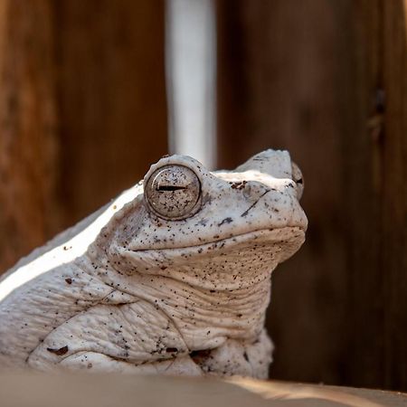 The Silk Road Lodge Hoedspruit Zewnętrze zdjęcie