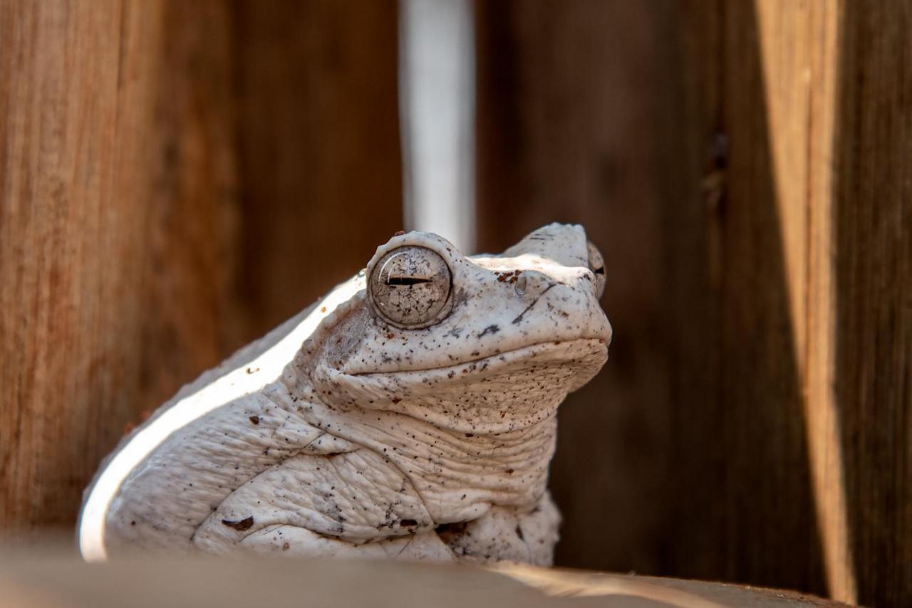 The Silk Road Lodge Hoedspruit Zewnętrze zdjęcie